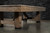 Cimarron 8' Slate Pool Table by Legacy Billiards | FREE Shipping USA | Sawyer Twain USA