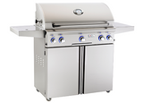 American Outdoor Grill "L" Series Portable Gas Grill