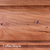 Doc & Holliday Billiards Wood Finish Sample – A premium wood swatch showcasing rich, warm hues and distinctive grain patterns that epitomize heritage craftsmanship and innovative design, available exclusively at Sawyer Twain USA.